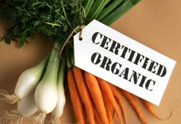 Organic Foods and the Hard Evidence for their Superiority