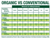 Organic vs Conventional Food