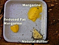 Which is healthier ? Butter vs Margarine - Ants have their vote.