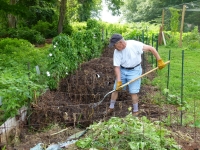 The Magic of Compost