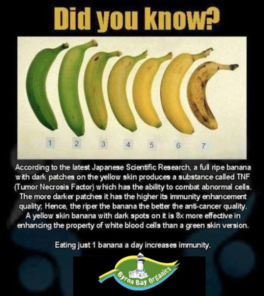 Organic Bananas Information and Facts