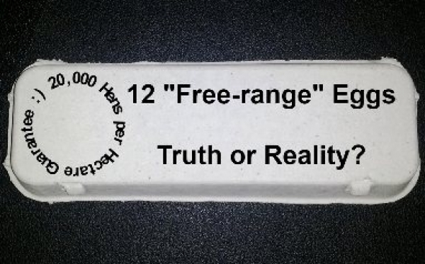 SCRAMBLED EGGS - what does FREE range really mean?